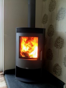 Tartu Stove 7kw 