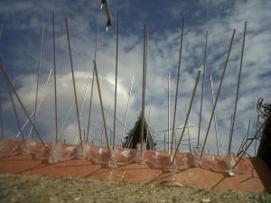 Fitting a Cowl or Anti Bird spikes will stop birds blocking and nesting in your chimneys.